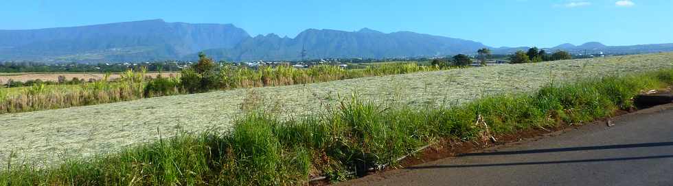 3 octobre 2014 - St-Pierre - Chemin Bassin Martin - Herbages coups