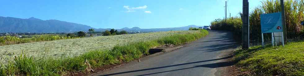 3 octobre 2014 - St-Pierre - Chemin Bassin Martin - Herbages coups