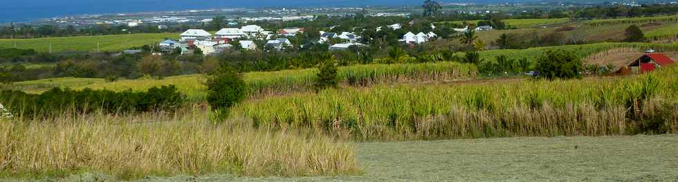 3 octobre 2014 - St-Pierre - Chemin Bassin Martin - PK3