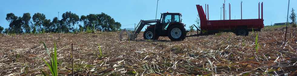 3 octobre 2014 - St-Pierre - Chemin Bassin Martin - Tracteur et sa remorque