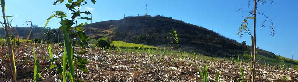 3 octobre 2014 - St-Pierre - Chemin Bassin Martin - Piton