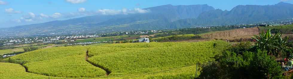 3 octobre 2014 - St-Pierre - Monte au Piton de Bassin Martin -