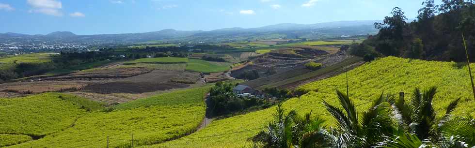 3 octobre 2014 - St-Pierre - Monte au Piton de Bassin Martin -