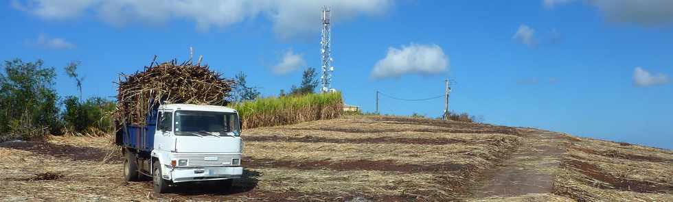 3 octobre 2014 - St-Pierre - Monte au Piton de Bassin Martin - Pylne