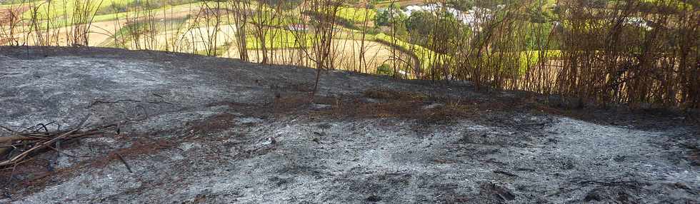 3 octobre 2014 - St-Pierre - Piton de Bassin Martin - Incendie du 30 sept