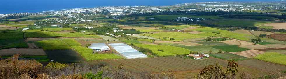 3 octobre 2014 - St-Pierre - Piton de Bassin Martin - Vue sur la ville