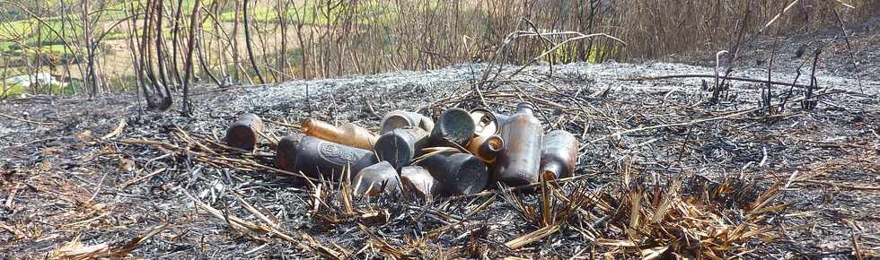 3 octobre 2014 - St-Pierre - Piton de Bassin Martin - Incendie du 30 sept.