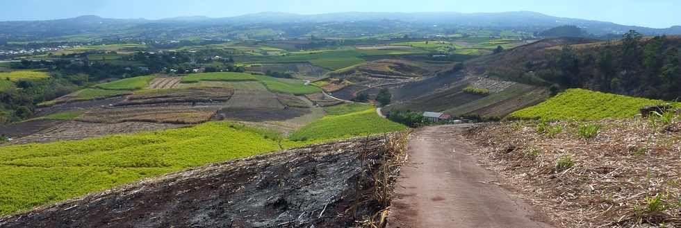 3 octobre 2014 - St-Pierre - Piton de Bassin Martin -  Vue sur les incendies du 30 Sept.