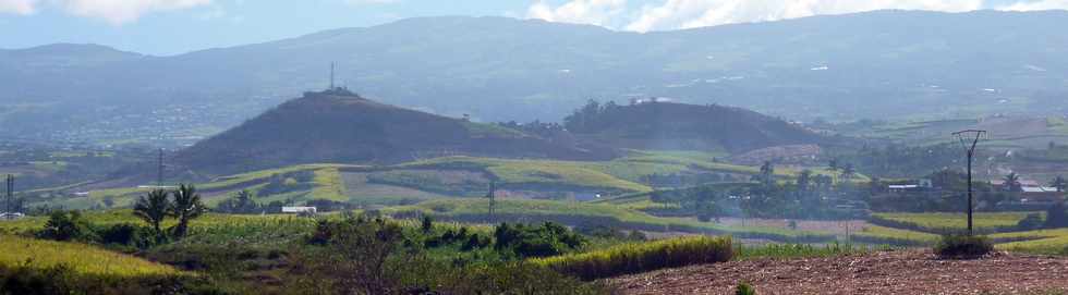 8 octobre 2014 - St-Pierre - Piton de Bassin Martin aprs l'incendie du 30 septembre 2014