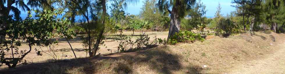 8 octobre 2014 - St-Pierre - Terre Sainte - Site naturel de Terre Rouge