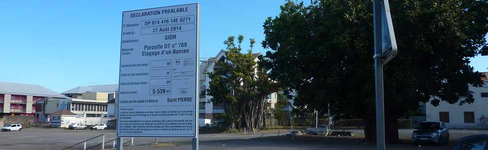 12 octobre 2014 - St-Pierre - Parking Albany - Déclaration préalable - Elagage d'un banian