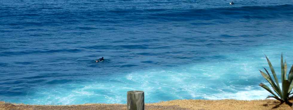 12 octobre 2014 - St-Pierre - Pointe du Diable  Surfeurs à l'eau
