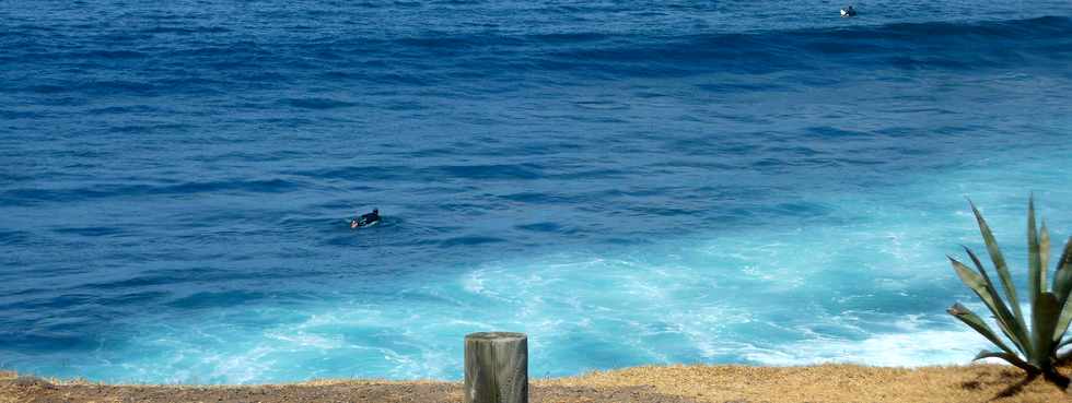 12 octobre 2014 - St-Pierre - Pointe du Diable  Surfeurs  l'eau