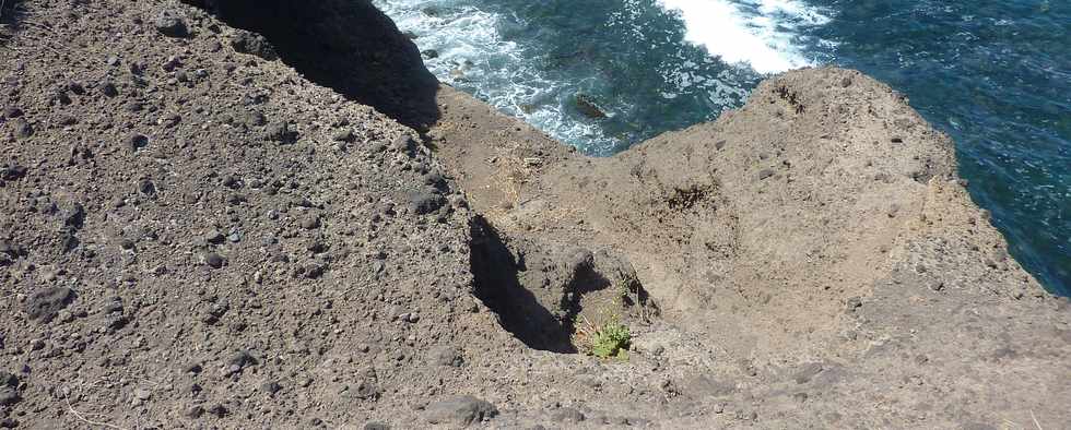 12 octobre 2014 - St-Pierre - Pointe du Diable, un site naturel remarquable - par Olivier Hoarau (Ple valorisation du patrimoine) - Erosion de la falaise de ponces et cendres