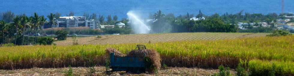 23 octobre - St-Pierre - Bassin Plat - Irrigation par canons