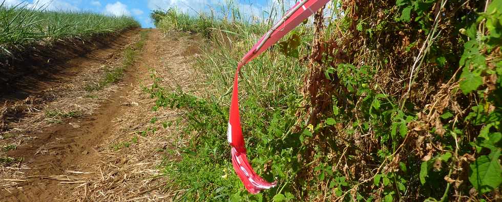 23 octobre - St-Pierre - Bassin Plat - Chemin Grand Raid