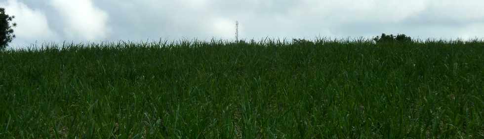 26 octobre 2014 - St-Pierre - Chemin de Bassin Plat - Vue sur l'antenne du Pton de Bassin Martin