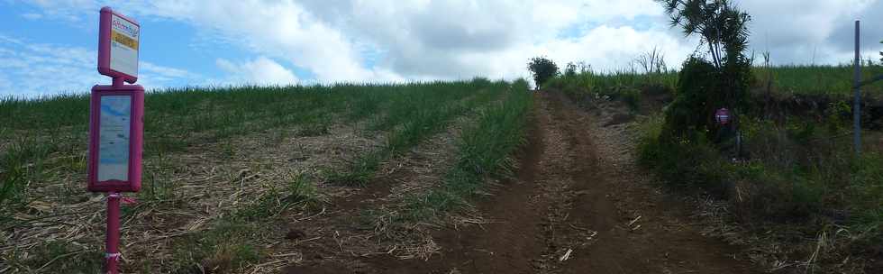 26 octobre 2014 - St-Pierre - Chemin de Bassin Plat - Parcours Grand Raid