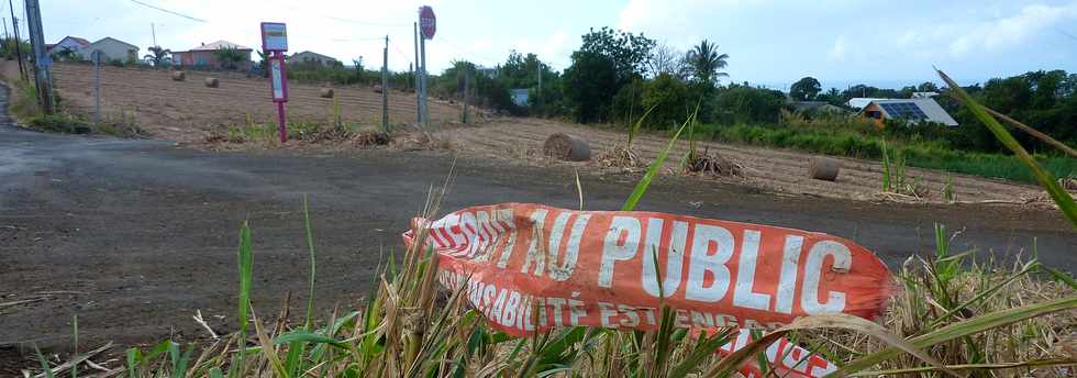 26 octobre 2014 - St-Pierre - Chemin de Bassin Plat - Ruban balise Grand raid