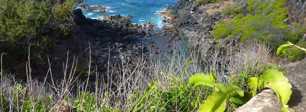 26 octobre 2014 - St-Pierre - Pont sur la ravine des Cafres - Bassin 18 -