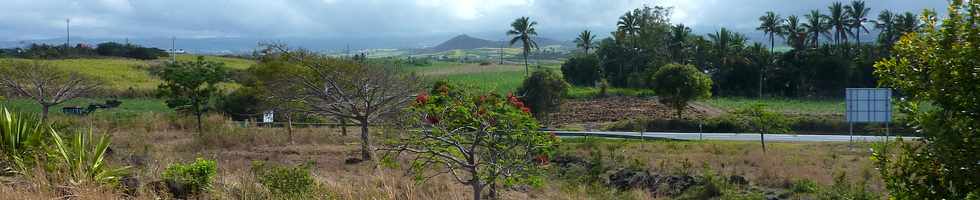 26 octobre 2014 - St-Pierre - Terre Sainte - ZAC Ocan Indien -