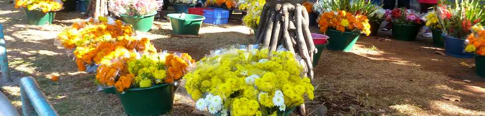 2 novembre 2014 - St-Pierre - Vente de fleurs devant le cimetire