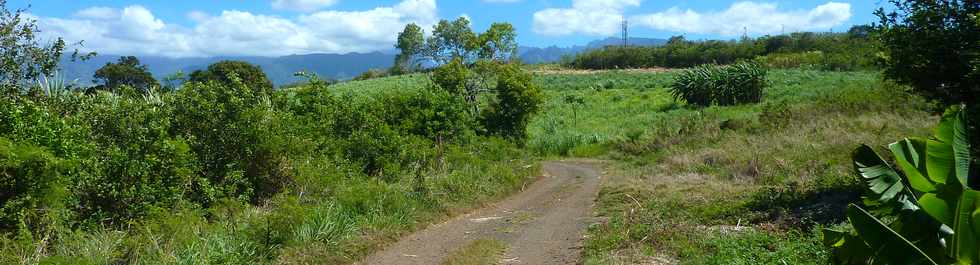 5 novembre 2014 - St-Pierre - Ligne Paradis - Chemin Blainville -