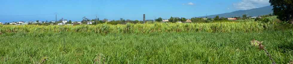 5 novembre 2014 - St-Pierre - Ligne Paradis - Chemin Blainville - Chemine de Mon Repos