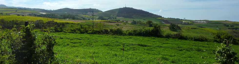 9 novembre 2014 - St-Pierre - Voie cannire - Piton de Bassin Martin