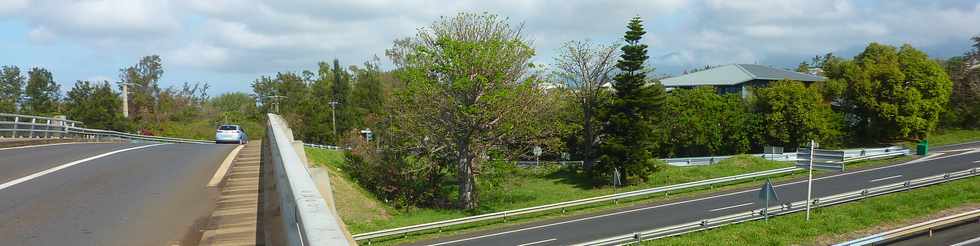 9 novembre 2014 - St-Pierre - Mon Caprice - Baobabs