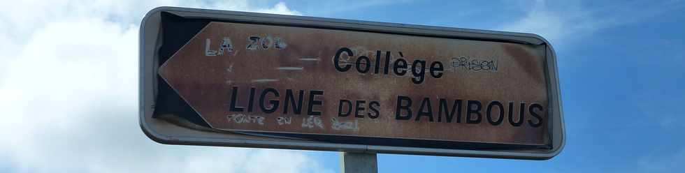 9 novembre 2014 - St-Pierre - Ligne des Bambous - Collège