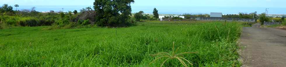 9 novembre 2014 - St-Pierre - Ligne Paradis  - Herbages