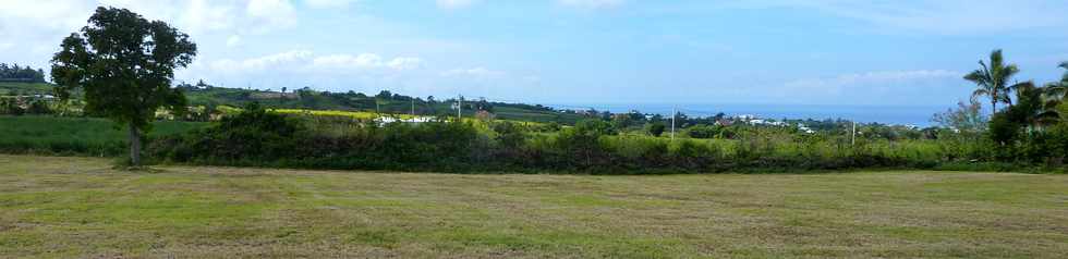 9 novembre 2014 - St-Pierre - Ligne Paradis  -Herbages