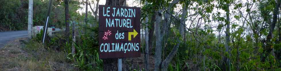 16 novembre 2014 - Route des Tamarins - Opration route libre - Monte aux Colimaons -