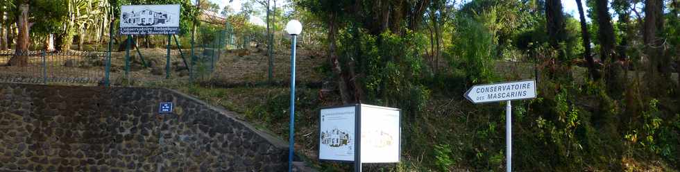 16 novembre 2014 - Route des Tamarins - Opration route libre - Monte aux Colimaons - Conservatoire de Mascarin