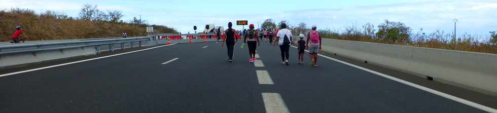 16 novembre 2014 - Route des Tamarins - Opration Route libre -