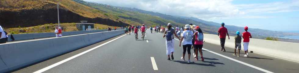 16 novembre 2014 - Route des Tamarins - Opration Route libre -