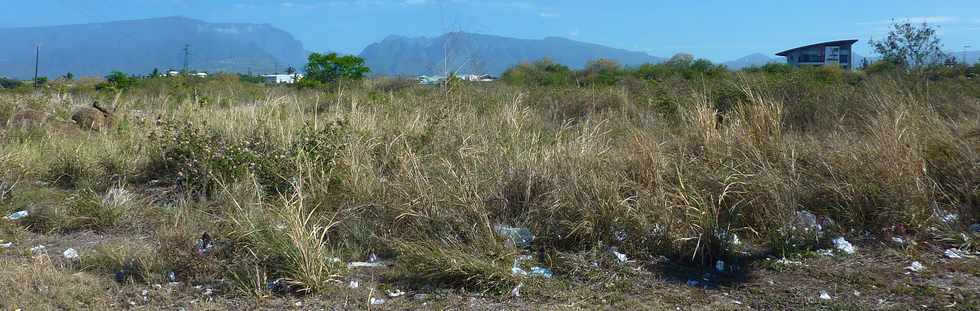 21 novembre 2014 - St-Pierre - Terrain encore vide dans la ZAC Canabady