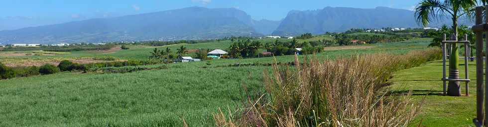 21 novembre 2014 - St-Pierre - Sandy, le charretier de Basse Terre