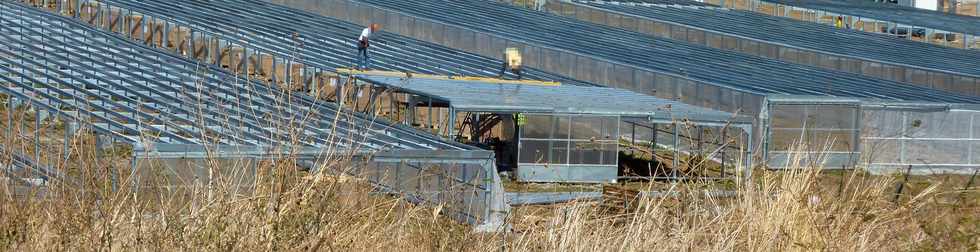 28 novembre 2014 - St-Pierre - Chantier ferme solaire Vulcain