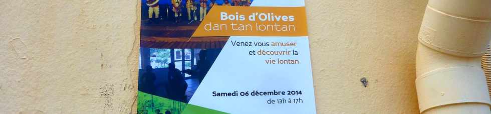 7 décembre 2014 - Bois d'Olives - Journée Bois d'O dan tan lontan