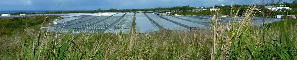 19 janvier 2015 - St-Pierre - Ferme solaire Vulcain