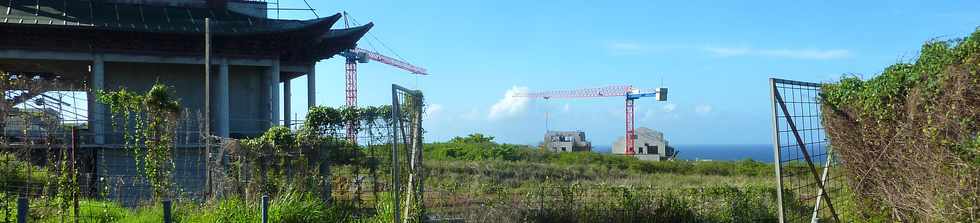 26 janvier 2015 - St-Pierre - ZAC Ocan Indien - Temple Guan Di