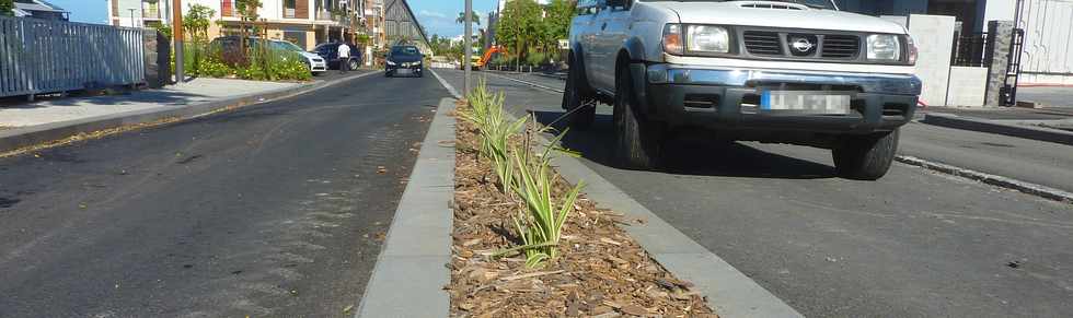 29 janvier 2015 - St-Pierre - Travaux TCSP - Rue du Pre Favron