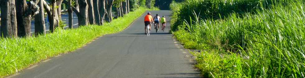 1er fvrier 2015 - St-Pierre - Cyclistes sur la voie cannire