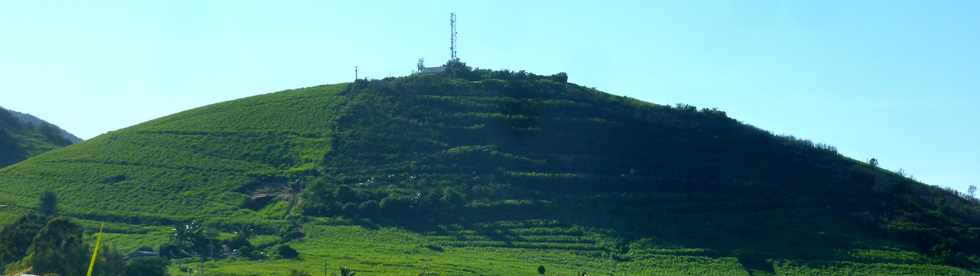 1er fvrier 2015 - St-Pierre - Piton de Bassin Martin