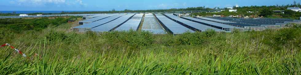 15 fvrier 2015 - St-Pierre - Ferme photovoltaque Vulcain