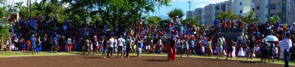 18 fvrier 2015 - St-Pierre - Carnaval  l'cole Raphal Barquissau -