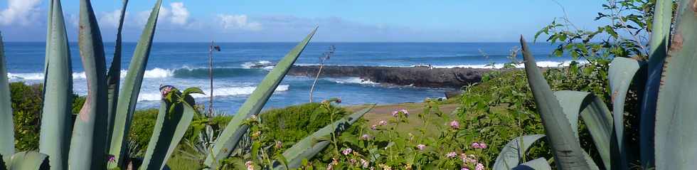 29 mars 2015 - St-Pierre - Pointe du Diable