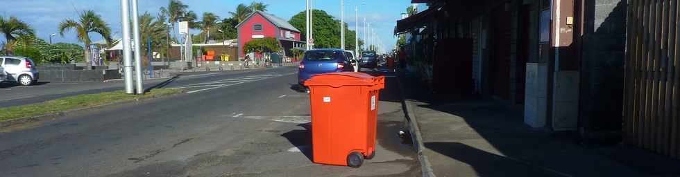 12 avril 2015 - St-Pierre - Bd Hubert-Delisle - Poubelles sur la piste cyclable